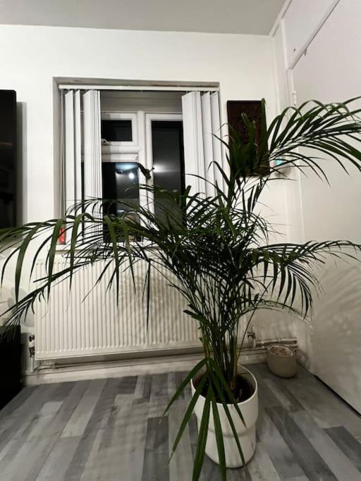 1-Bed Flat With Fast Wi-Fi In Prime Location 15Mins From Central ลอนดอน ภายนอก รูปภาพ